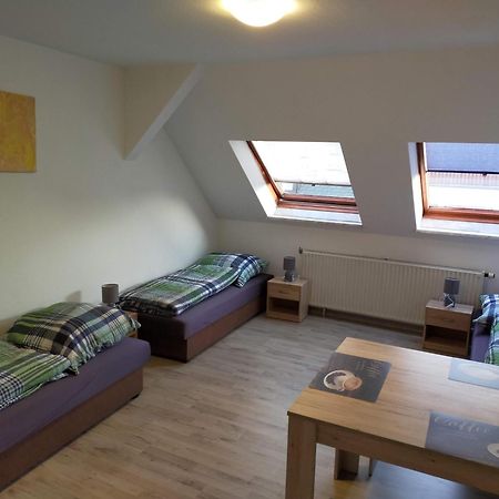 Flex Aparts - Grosse, Moeblierte Wohnung In Zwickau Mit 2 Zimmern Kültér fotó